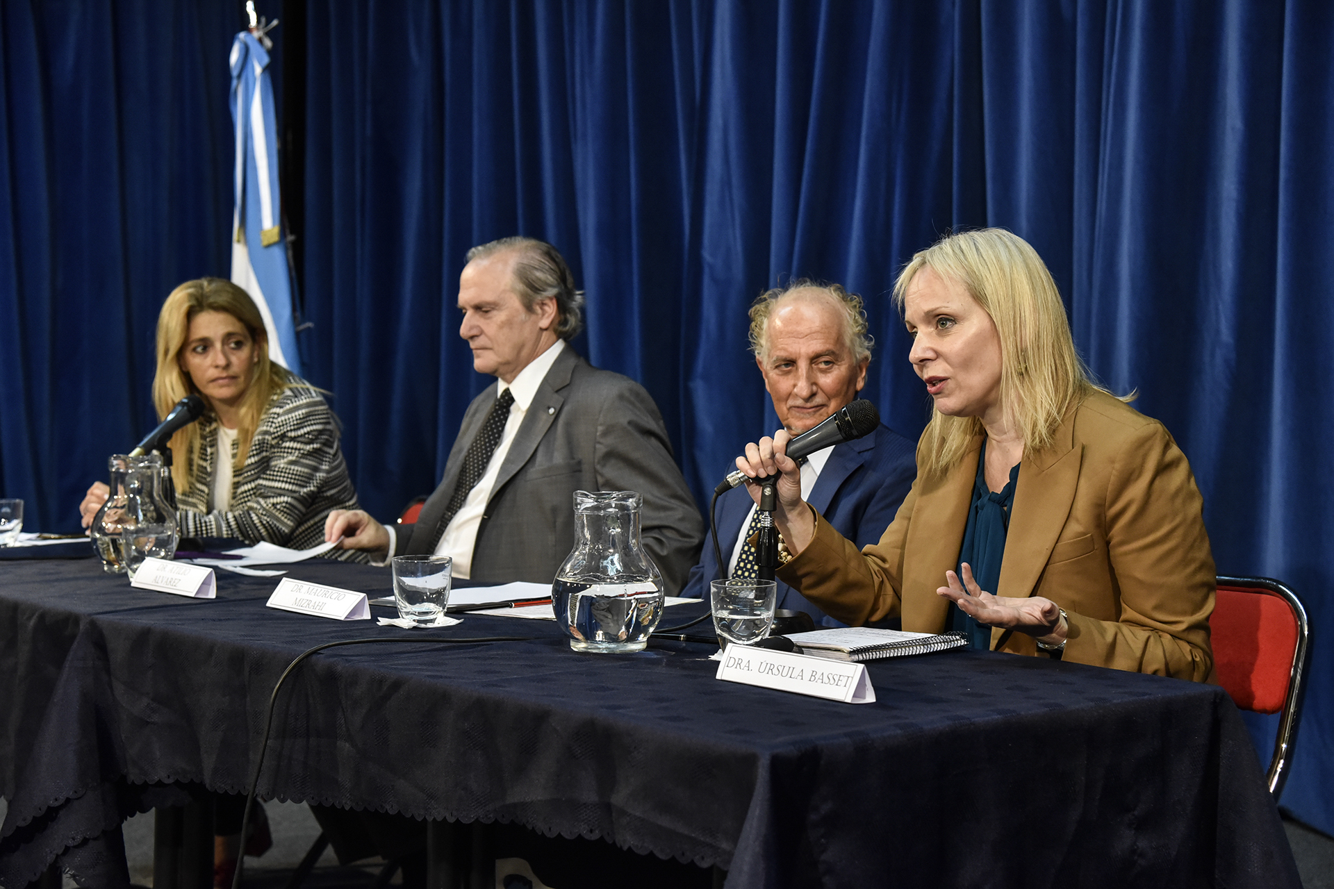 Galeria de imagenes de la noticia NIÑEZ SIN CUIDADOS PARENTALES: APORTES DESDE DIPUTADOS PARA MEJORAR EL RÉGIMEN DE ADOPCIÓN